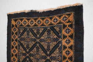 3x9 Taymani Rug