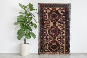4x6 Baluch Rug | KAMRAN