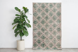 4x7 Melis Rug