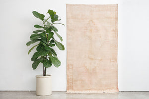 4x6 Sunwashed Rug
