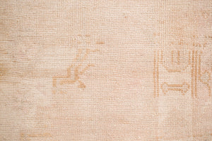 4x6 Sunwashed Rug