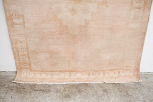 4x6 Sunwashed Rug