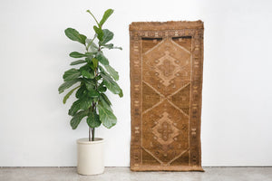 3x6 Baluch Rug