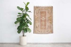 3x4 Ushak Rug