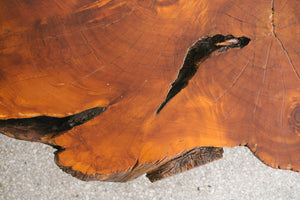 Live Edge Coffee Table