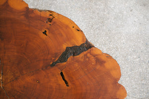 Live Edge Coffee Table