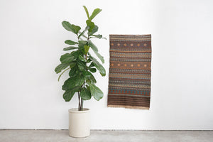2x4 Shirvan Rug