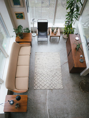 4x6 Moroccan Rug