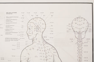 70s Acupuncture Chart