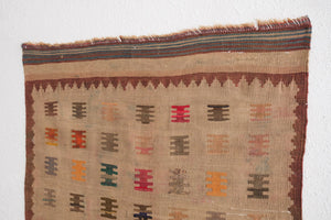 3x5 Izmir Rug