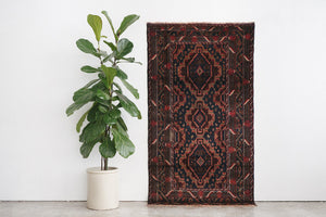 4x7 Baluch Rug