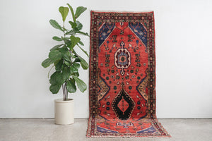 4x9 Persian Rug