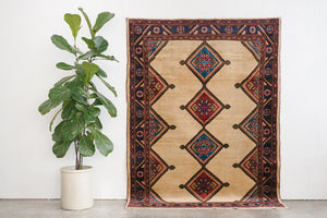 5x7 Persian Rug