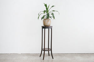 Antique Fern Stand