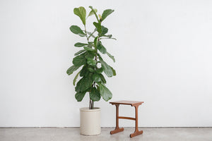 G Plan Side Table