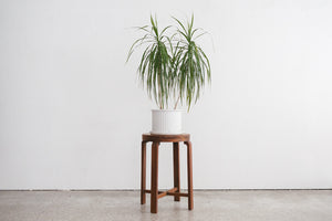 MC Teak Plant Stand