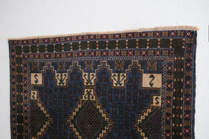 4x7 Taymani Rug