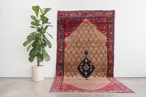 5x11 Persian Rug | MAHSA
