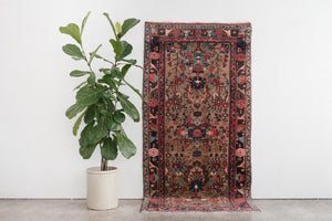 4x8 Persian Rug | NEDA