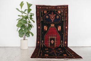 5x12 Persian Rug | SOROUSH