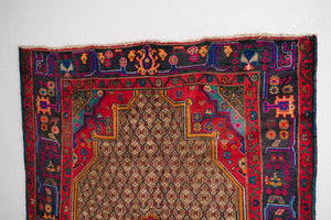5x10 Persian Rug | NOUSHA