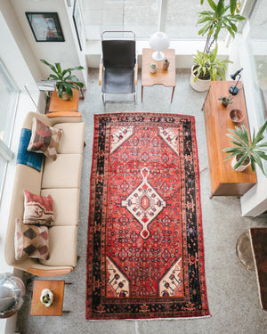 5x10 Persian Rug | ANOSH
