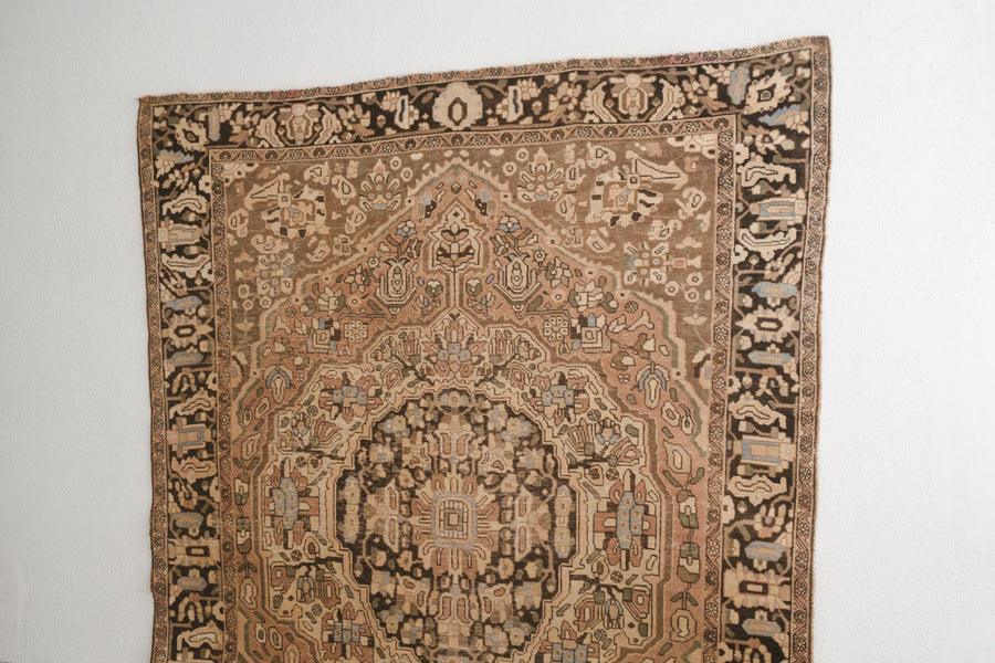 7x9 Persian Rug | SAAM