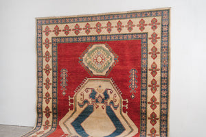 7x11 Gazni Rug | MINA