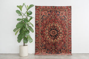 5x7 Persian Rug | ZHALEH