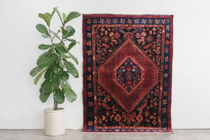 5x7 Persian Rug | VAHID