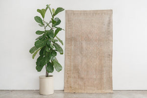 4x7 Turkish Rug | BEYZA