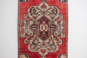 4x8 Turkish Rug | ALTAN