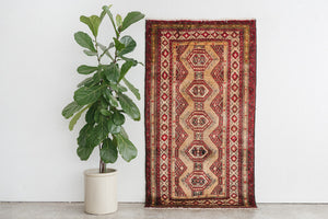 4x7 Persian Rug