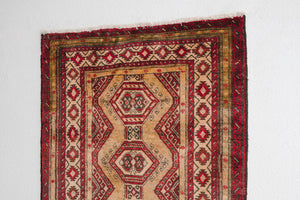 4x7 Persian Rug