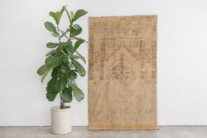 4x6 Turkish Rug | BIHTER