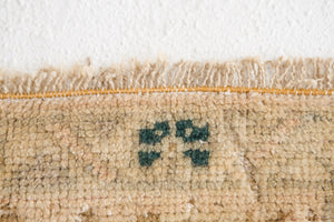 4x6 Turkish Rug | BIHTER