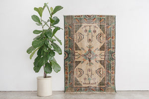 4x6 Turkish Rug | EROL