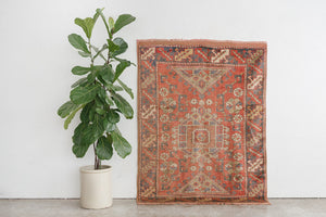 4x6 Turkish Rug | DILAN