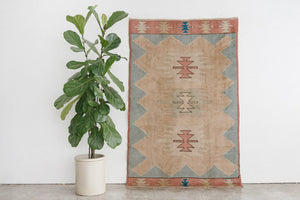 4x6 Turkish Rug | BESTE