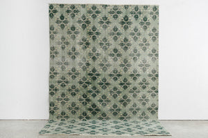 5x9 Turkish Rug | EKREM