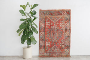 4x6 Turkish Rug