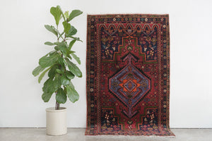 4x7 Persian Rug | BAHAR