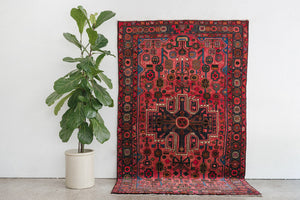 5x8 Persian Rug | FIRUZ