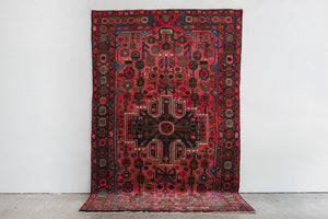 5x8 Persian Rug | FIRUZ