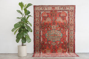 5x8 Persian Rug | BANU