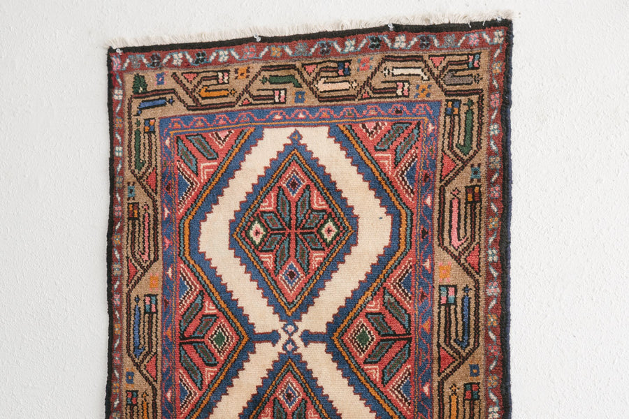 2.5x9 Persian Rug | REZA