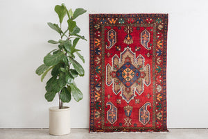 4x7 Persian Rug | ZIBA