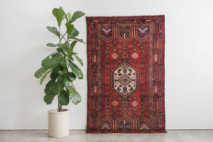 4x7 Persian Rug | NIMA
