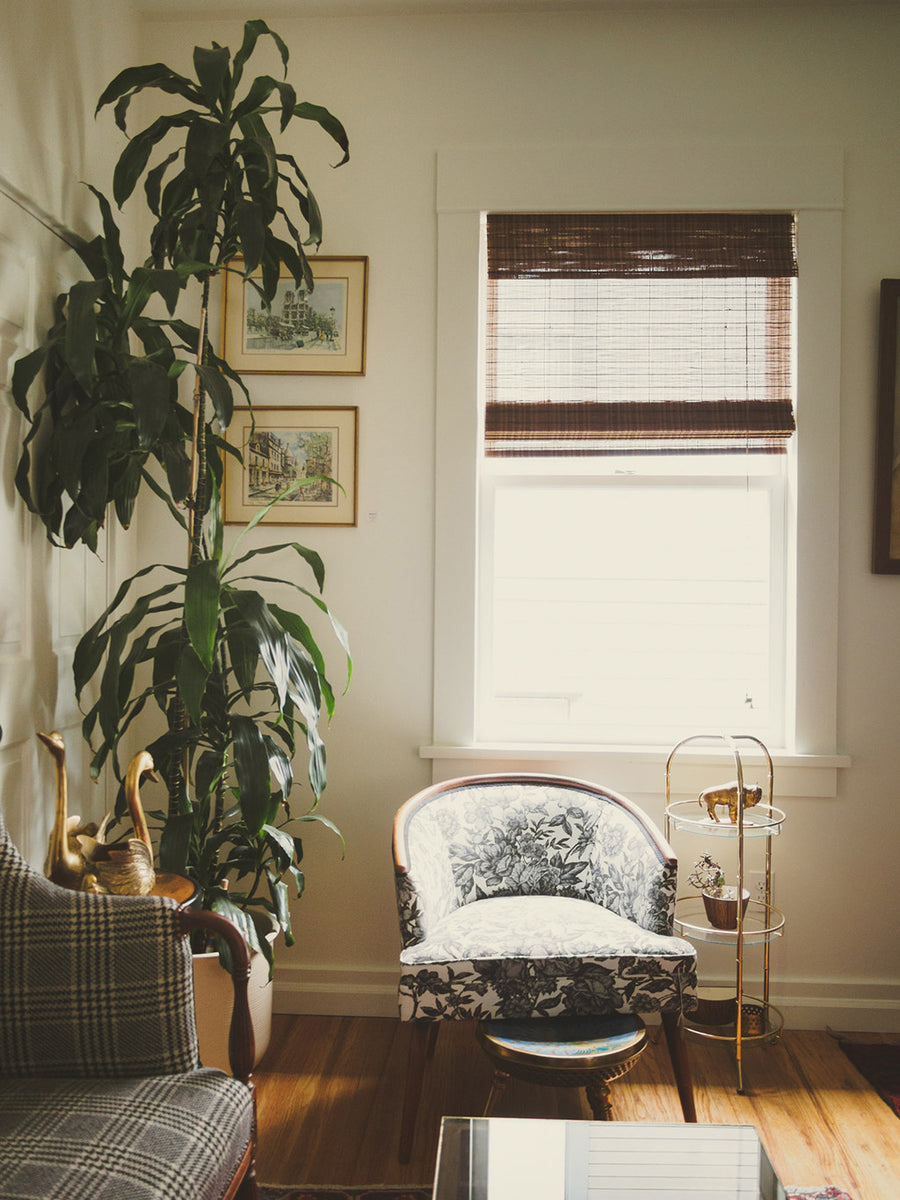 Brass Plant Stand