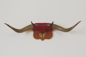 Vintage Bullhorns